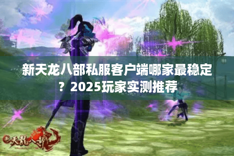 新天龙八部私服客户端哪家最稳定？2025玩家实测推荐