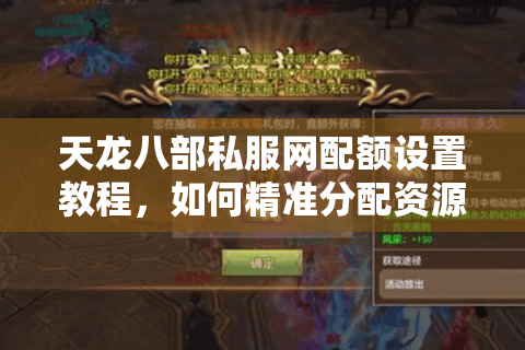 天龙八部私服网配额设置教程，如何精准分配资源不踩坑？