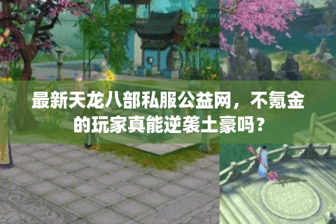 最新天龙八部私服公益网，不氪金的玩家真能逆袭土豪吗？