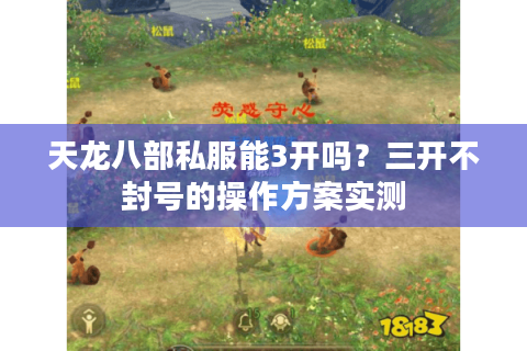 天龙八部私服能3开吗？三开不封号的操作方案实测