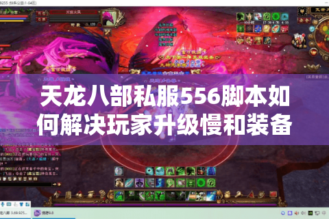 天龙八部私服556脚本如何解决玩家升级慢和装备差的双重困境？