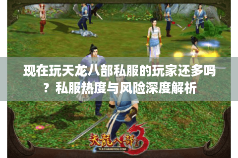 现在玩天龙八部私服的玩家还多吗？私服热度与风险深度解析