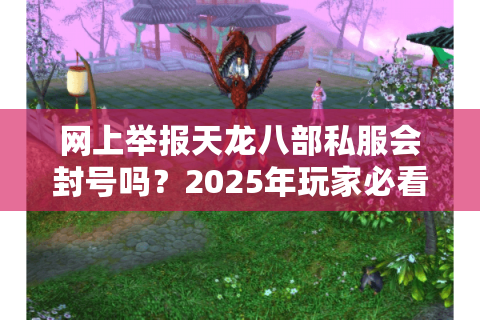 网上举报天龙八部私服会封号吗？2025年玩家必看维权指南