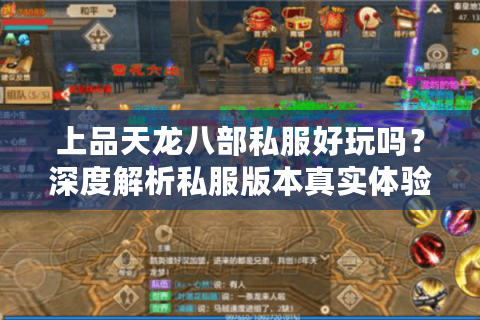 上品天龙八部私服好玩吗？深度解析私服版本真实体验