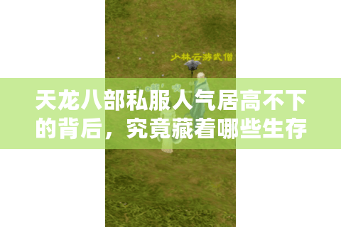 天龙八部私服人气居高不下的背后，究竟藏着哪些生存法则？