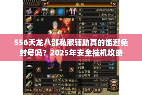 556天龙八部私服辅助真的能避免封号吗？2025年安全挂机攻略