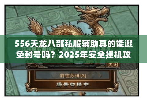 556天龙八部私服辅助真的能避免封号吗？2025年安全挂机攻略