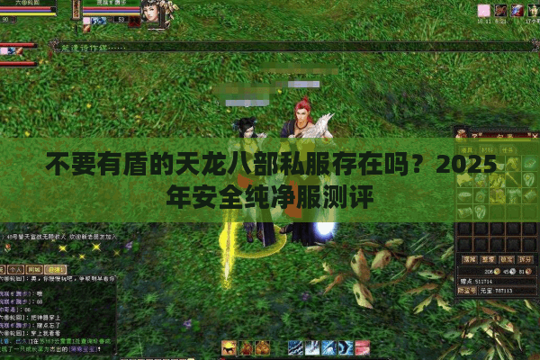 不要有盾的天龙八部私服存在吗？2025年安全纯净服测评