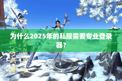 为什么2025年的私服需要专业登录器？