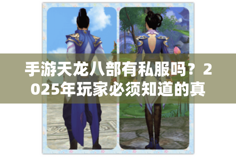 手游天龙八部有私服吗？2025年玩家必须知道的真相