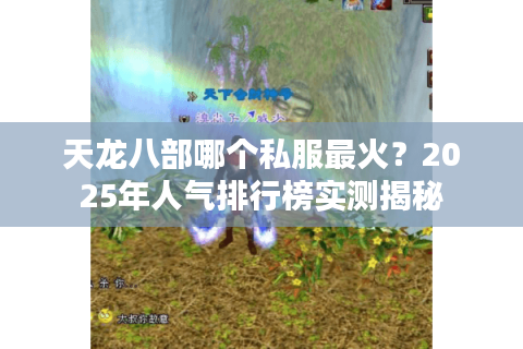 天龙八部哪个私服最火？2025年人气排行榜实测揭秘