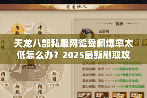 天龙八部私服网鸳鸯佩爆率太低怎么办？2025最新刷取攻略揭秘
