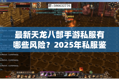 最新天龙八部手游私服有哪些风险？2025年私服鉴别避坑指南