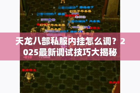 天龙八部私服内挂怎么调？2025最新调试技巧大揭秘