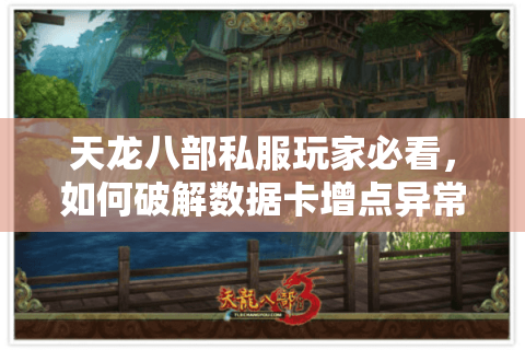 天龙八部私服玩家必看，如何破解数据卡增点异常波动难题？