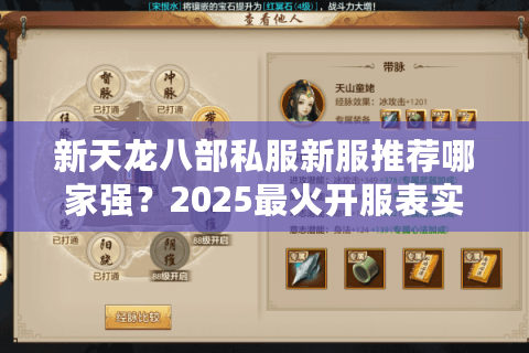 新天龙八部私服新服推荐哪家强？2025最火开服表实时更新