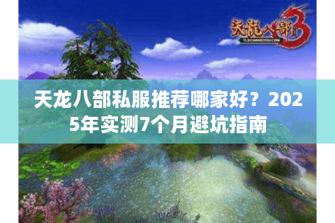 天龙八部私服推荐哪家好？2025年实测7个月避坑指南