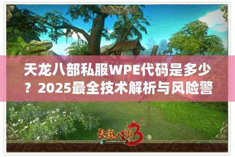 天龙八部私服WPE代码是多少？2025最全技术解析与风险警示