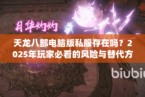 天龙八部电脑版私服存在吗？2025年玩家必看的风险与替代方案
