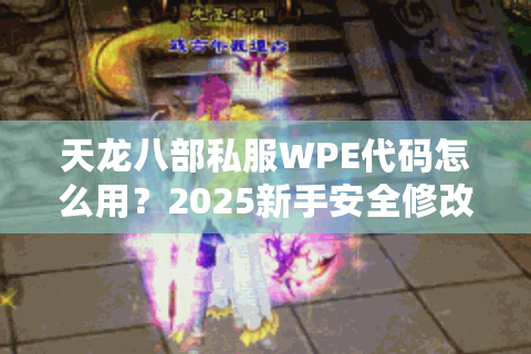 天龙八部私服WPE代码怎么用？2025新手安全修改教程