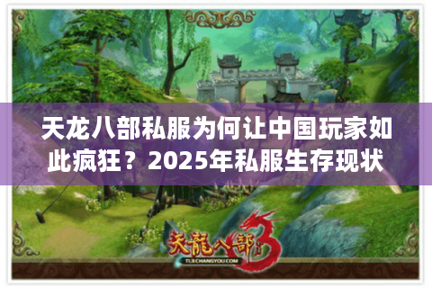 天龙八部私服为何让中国玩家如此疯狂？2025年私服生存现状大揭秘