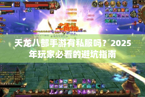 天龙八部手游有私服吗？2025年玩家必看的避坑指南