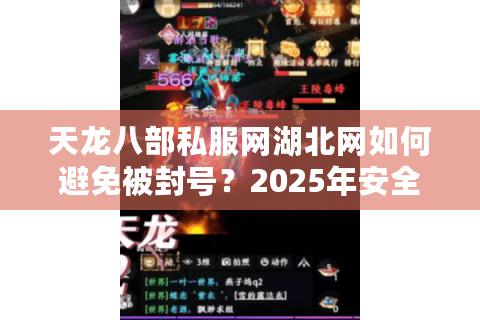 天龙八部私服网湖北网如何避免被封号？2025年安全防封攻略