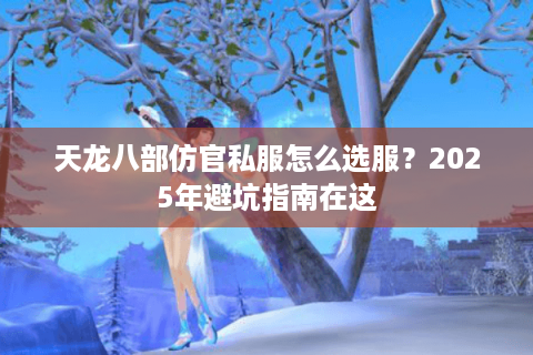 天龙八部仿官私服怎么选服？2025年避坑指南在这