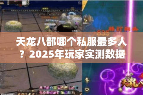 天龙八部哪个私服最多人？2025年玩家实测数据揭秘