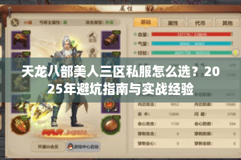 天龙八部美人三区私服怎么选？2025年避坑指南与实战经验