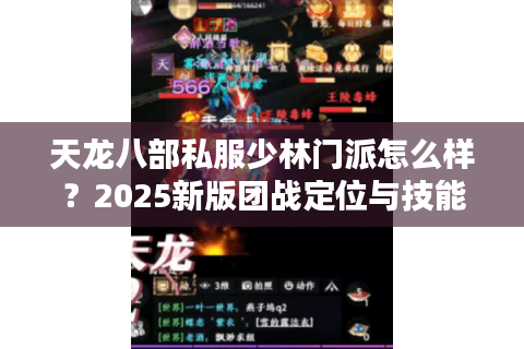 天龙八部私服少林门派怎么样？2025新版团战定位与技能实测解析