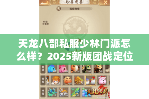 天龙八部私服少林门派怎么样？2025新版团战定位与技能实测解析