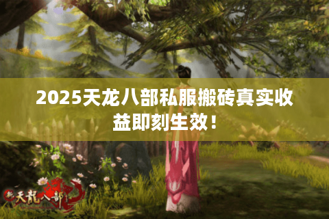 2025天龙八部私服搬砖真实收益即刻生效！