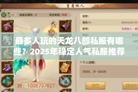 最多人玩的天龙八部私服有哪些？2025年稳定人气私服推荐