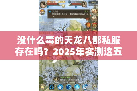 没什么毒的天龙八部私服存在吗？2025年实测这五家最稳
