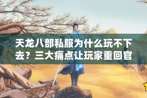 天龙八部私服为什么玩不下去？三大痛点让玩家重回官服