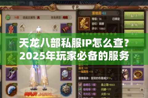 天龙八部私服IP怎么查？2025年玩家必备的服务器验证技巧
