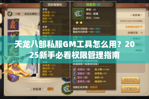 天龙八部私服GM工具怎么用？2025新手必看权限管理指南