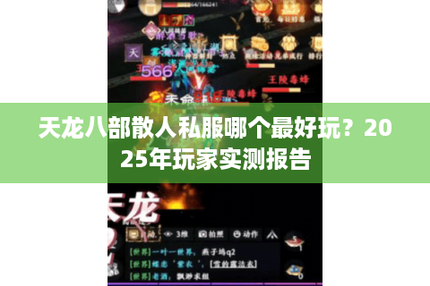 天龙八部散人私服哪个最好玩？2025年玩家实测报告