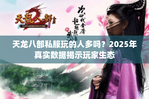 天龙八部私服玩的人多吗？2025年真实数据揭示玩家生态
