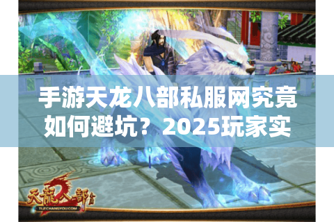手游天龙八部私服网究竟如何避坑？2025玩家实测报告