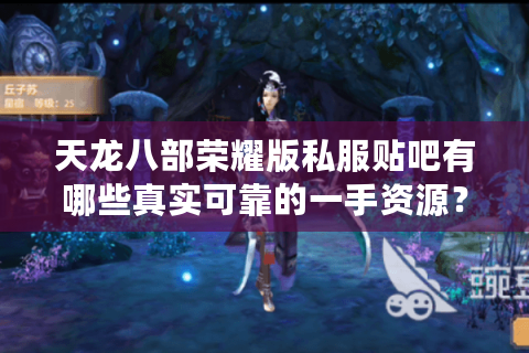 天龙八部荣耀版私服贴吧有哪些真实可靠的一手资源？