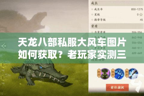 天龙八部私服大风车图片如何获取？老玩家实测三大隐藏资源点