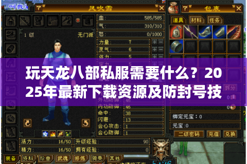 玩天龙八部私服需要什么？2025年最新下载资源及防封号技巧解析