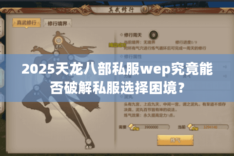2025天龙八部私服wep究竟能否破解私服选择困境？