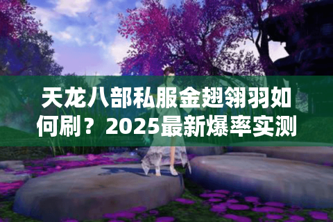 天龙八部私服金翅翎羽如何刷？2025最新爆率实测攻略