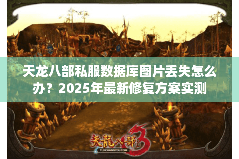天龙八部私服数据库图片丢失怎么办？2025年最新修复方案实测