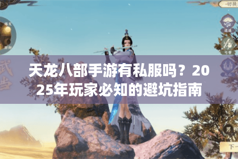 天龙八部手游有私服吗？2025年玩家必知的避坑指南