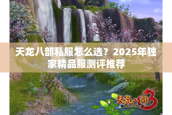 天龙八部私服怎么选？2025年独家精品服测评推荐