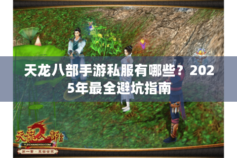 天龙八部手游私服有哪些？2025年最全避坑指南